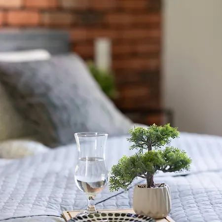 Appartement Deluxe *