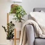Apartamento Deluxe