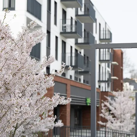 Apartamenty Deluxe Apartment *